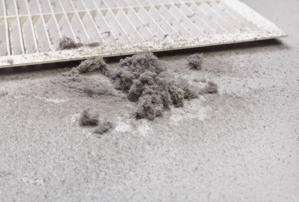 Affordable HVAC Duct Cleaning in VA