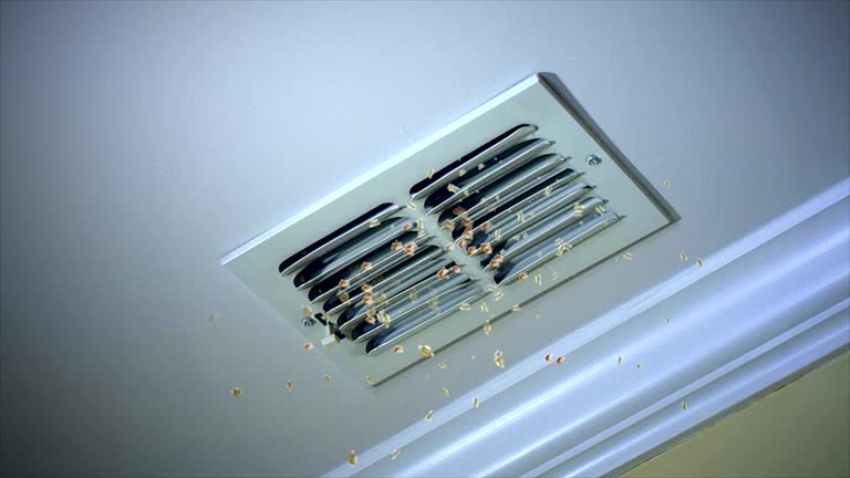 Best HVAC Duct Inspection Services  in Broadlands, VA